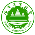 kk体育